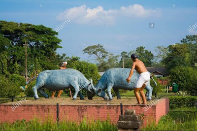 Cultural History of Ahom Kingdom - The Ahom Culture